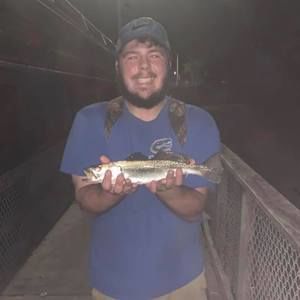 Meet your Posher, Cody